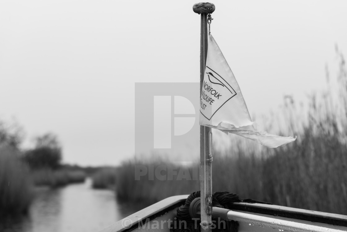 "Norfolk Wildlife Trust, marshland boat trip" stock image