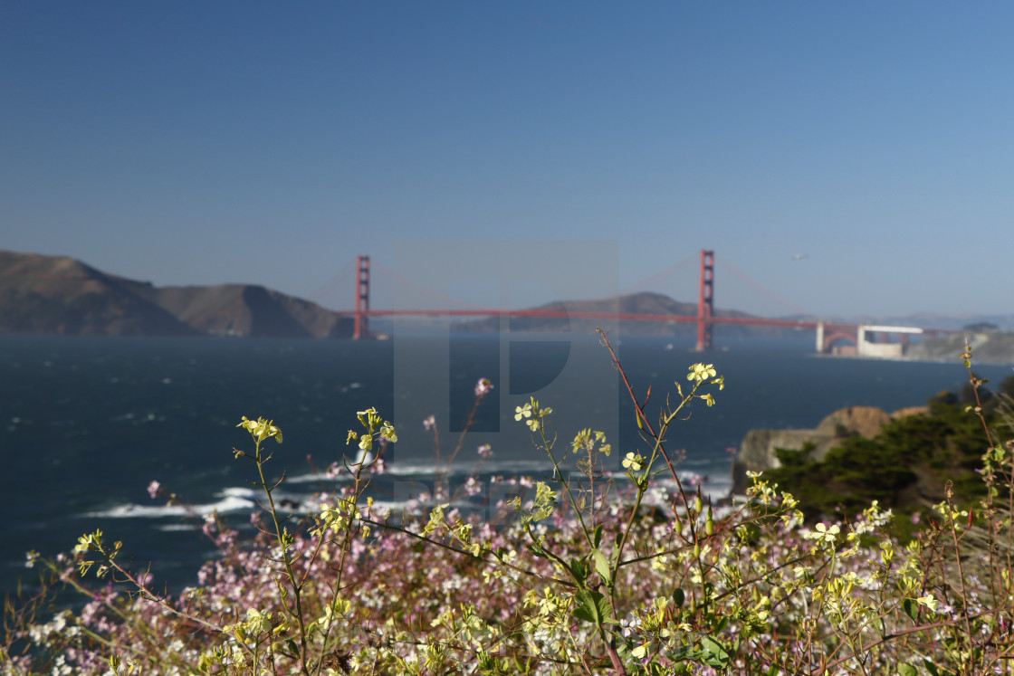 "Golden Gate Bridge, San Francisco (nr 1)" stock image