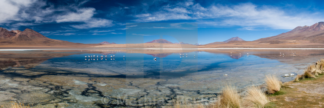 "Laguna Hedionda Panorama" stock image