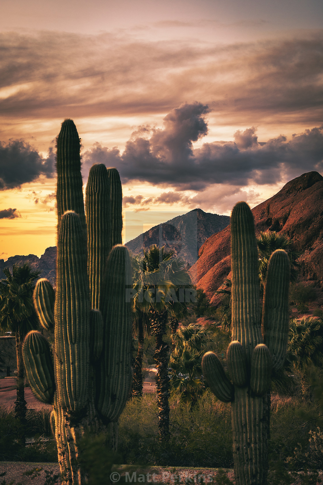 "Desert View F" by Matt Perkins - $63.49 "Desert View F" stock image
