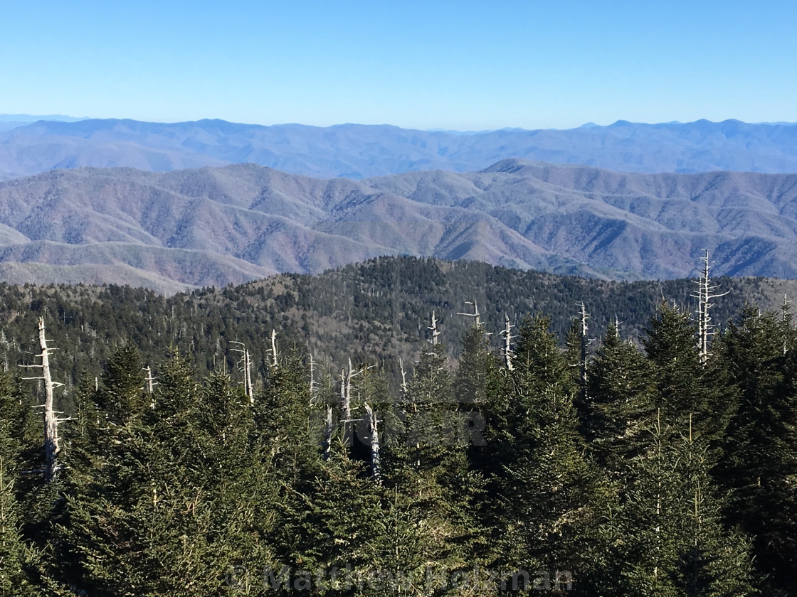 "Clingmans Canvas" stock image