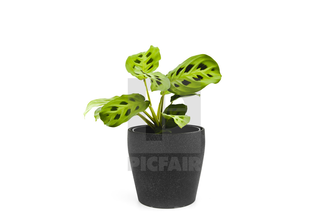 from $15.32