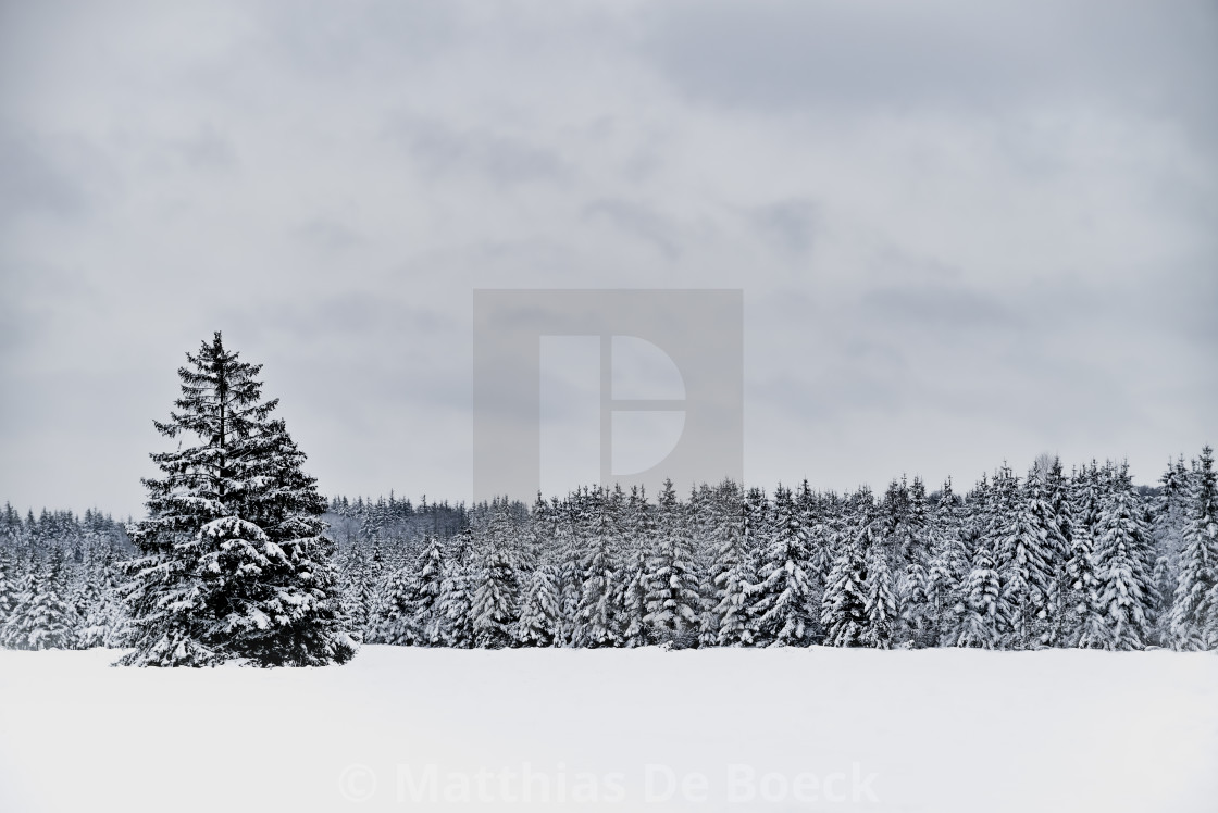 "Snowy hills and woods" by Matthias De Boeck - $15.32 "Snowy hills and woods" stock image