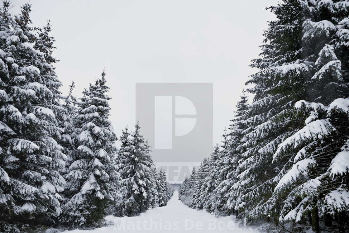 "Snowy hills and woods" by Matthias De Boeck - $15.32 "Snowy hills and woods" stock image