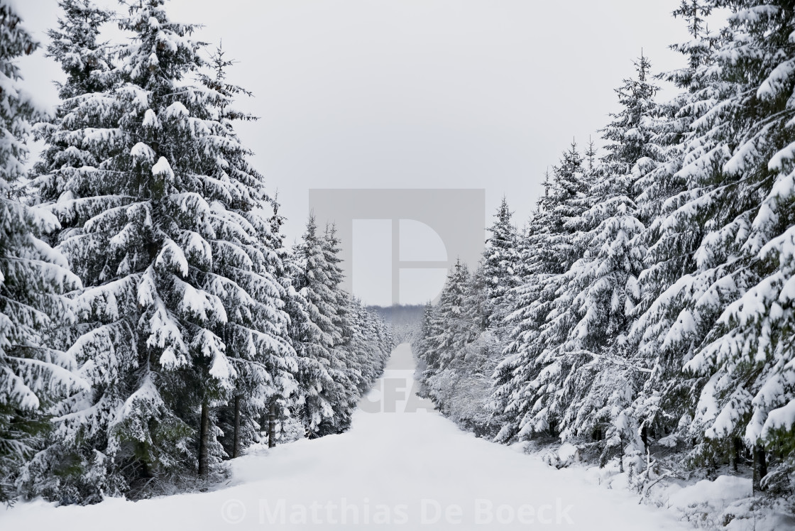 "Snowy hills and woods" by Matthias De Boeck - $15.32 "Snowy hills and woods" stock image