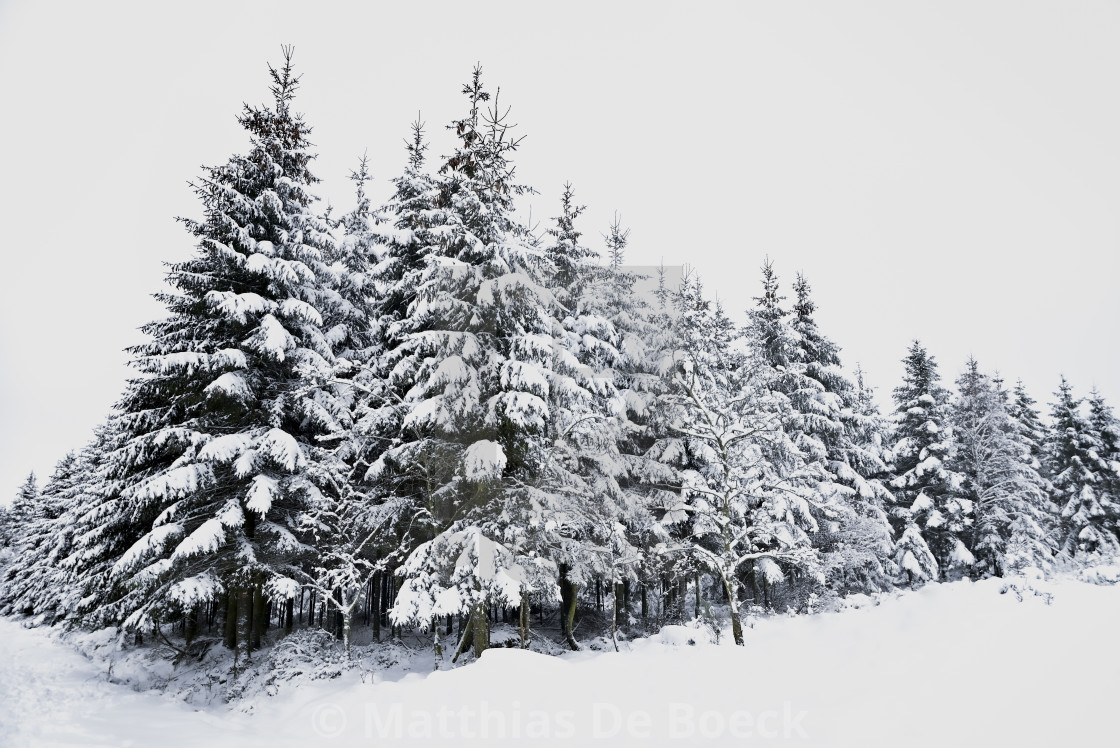 "Snowy hills and woods" by Matthias De Boeck - $15.32 "Snowy hills and woods" stock image