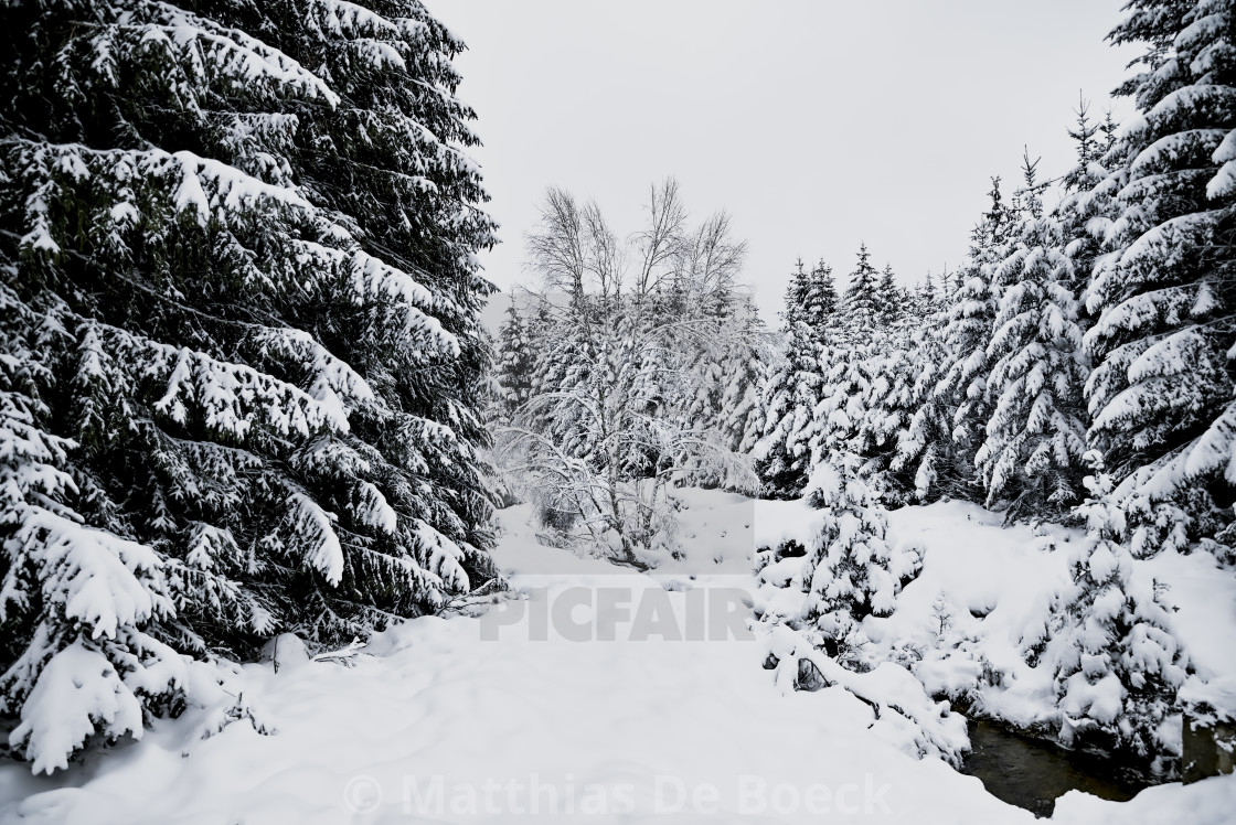 "Snowy hills and woods" by Matthias De Boeck - $15.32 "Snowy hills and woods" stock image