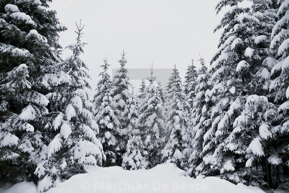 "Snowy hills and woods" by Matthias De Boeck - $15.32 "Snowy hills and woods" stock image