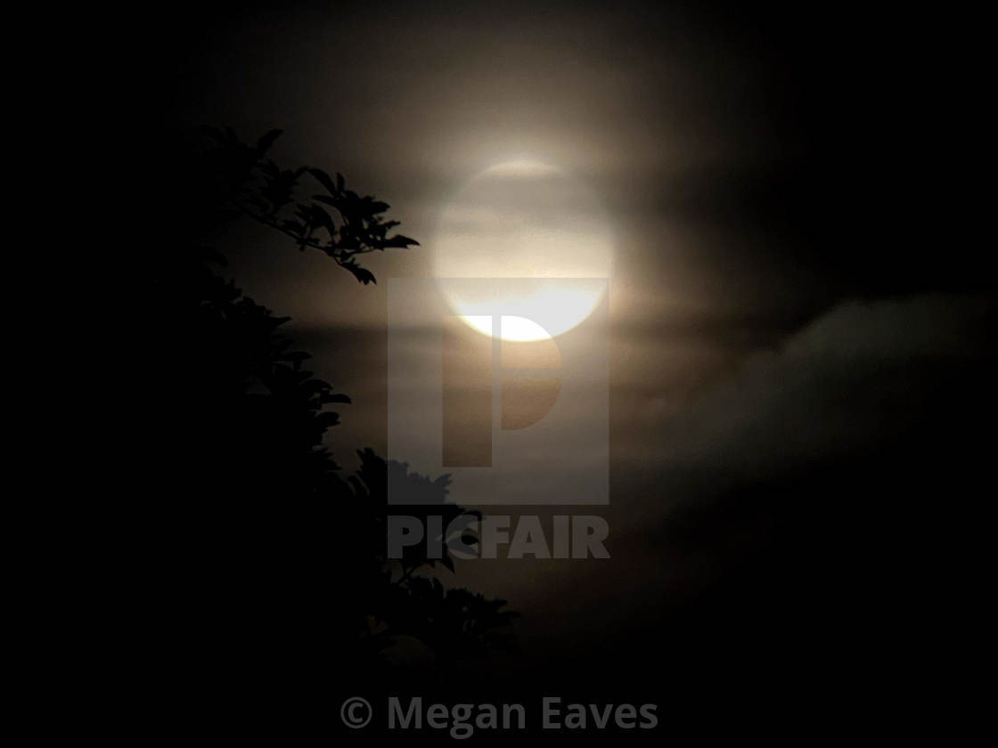 "Shrouded Moon" by Megan Eaves - $15.31 "Shrouded Moon" stock image