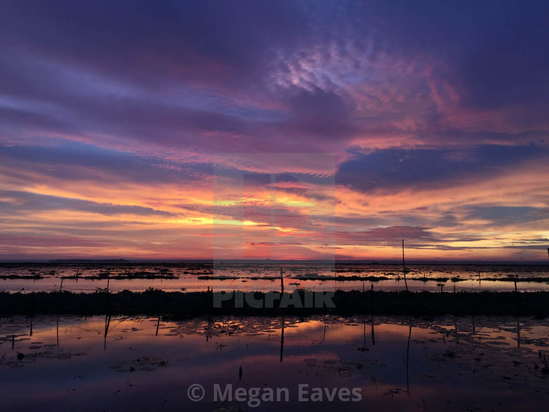 "Kerala Backwaters Sunset 2" by Megan Eaves - $15.31 "Kerala Backwaters Sunset 2" stock image