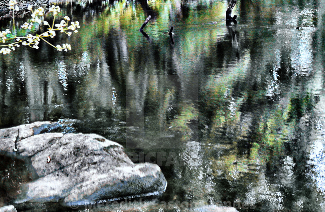 "Green Oasis" by Meredith Easton Mendes - £10.00 "Green Oasis" stock image