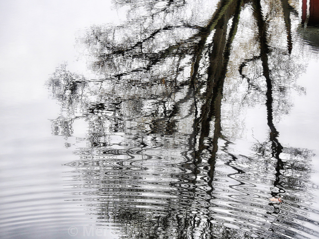 "Winter Tree Reflection in Pond" by Meredith Easton Mendes - £10.00 "Winter Tree Reflection in Pond" stock image
