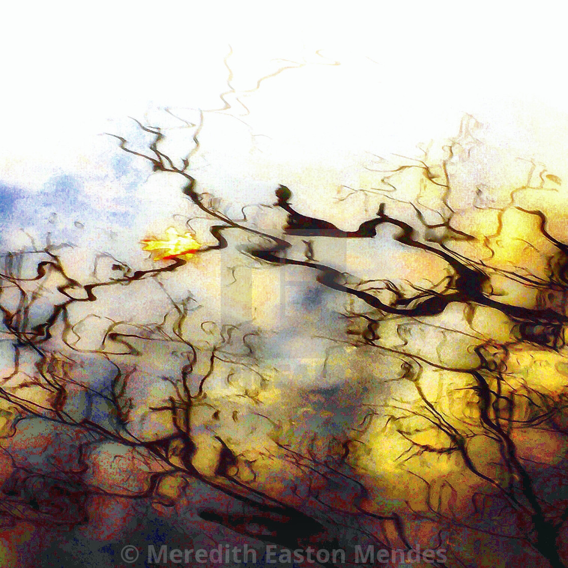 "Water mosaic" by Meredith Easton Mendes - £10.00 "Water mosaic" stock image