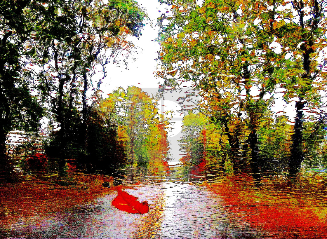 "Rainy Autumn Drive" by Meredith Easton Mendes - £10.00 "Rainy Autumn Drive" stock image