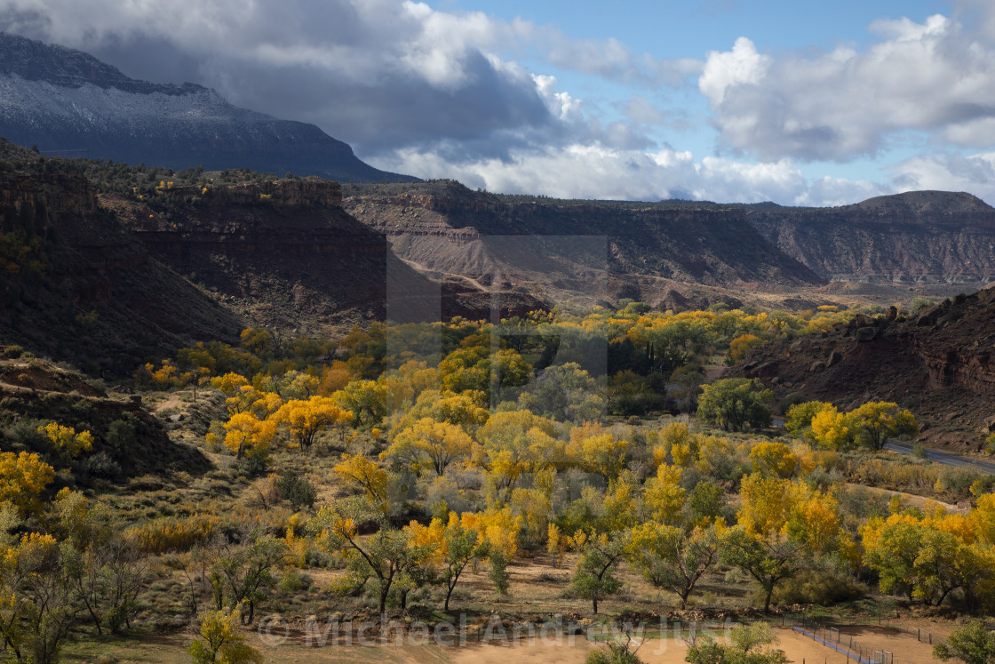 "Zion Fall Colors" stock image