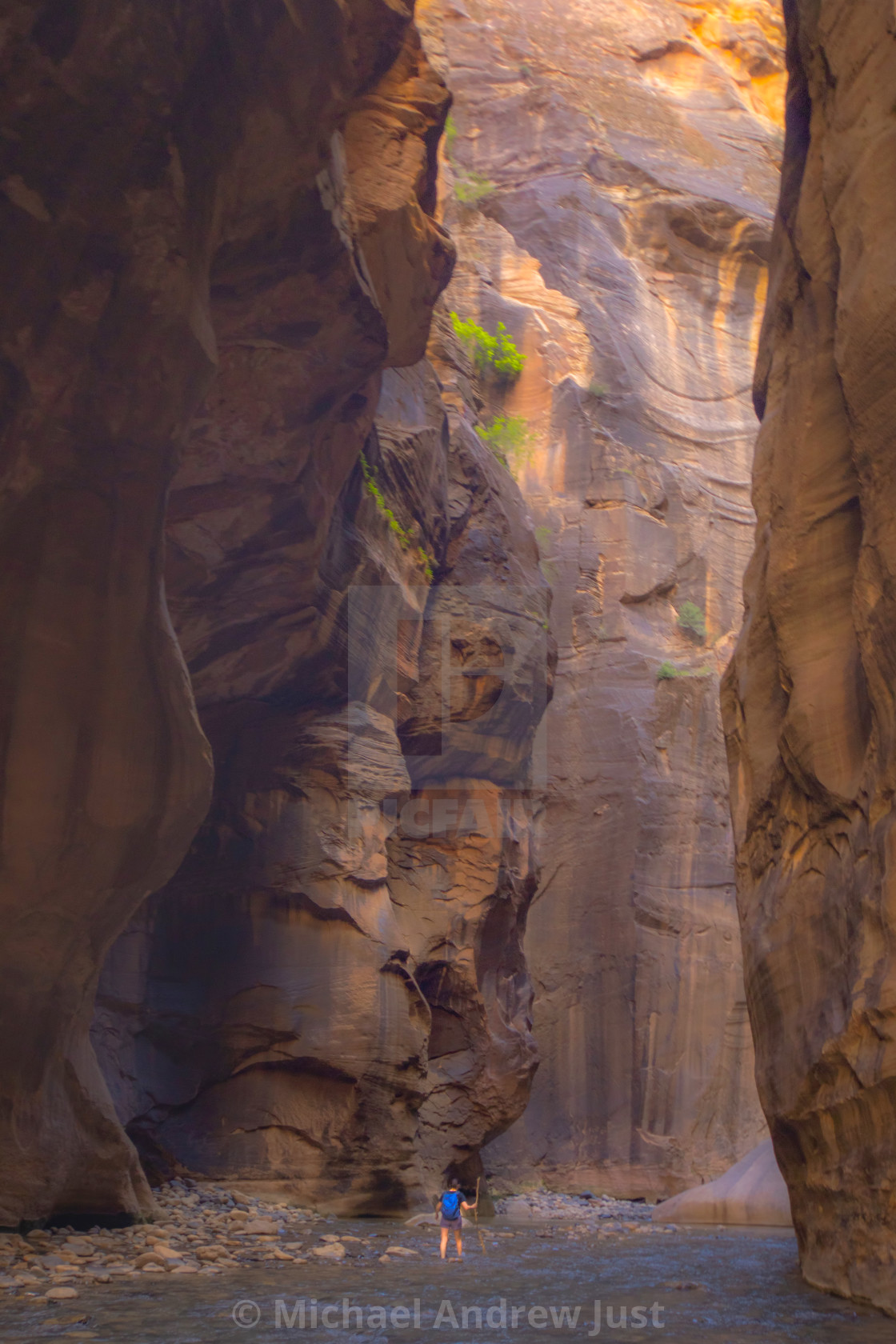 "Zion Narrows" stock image