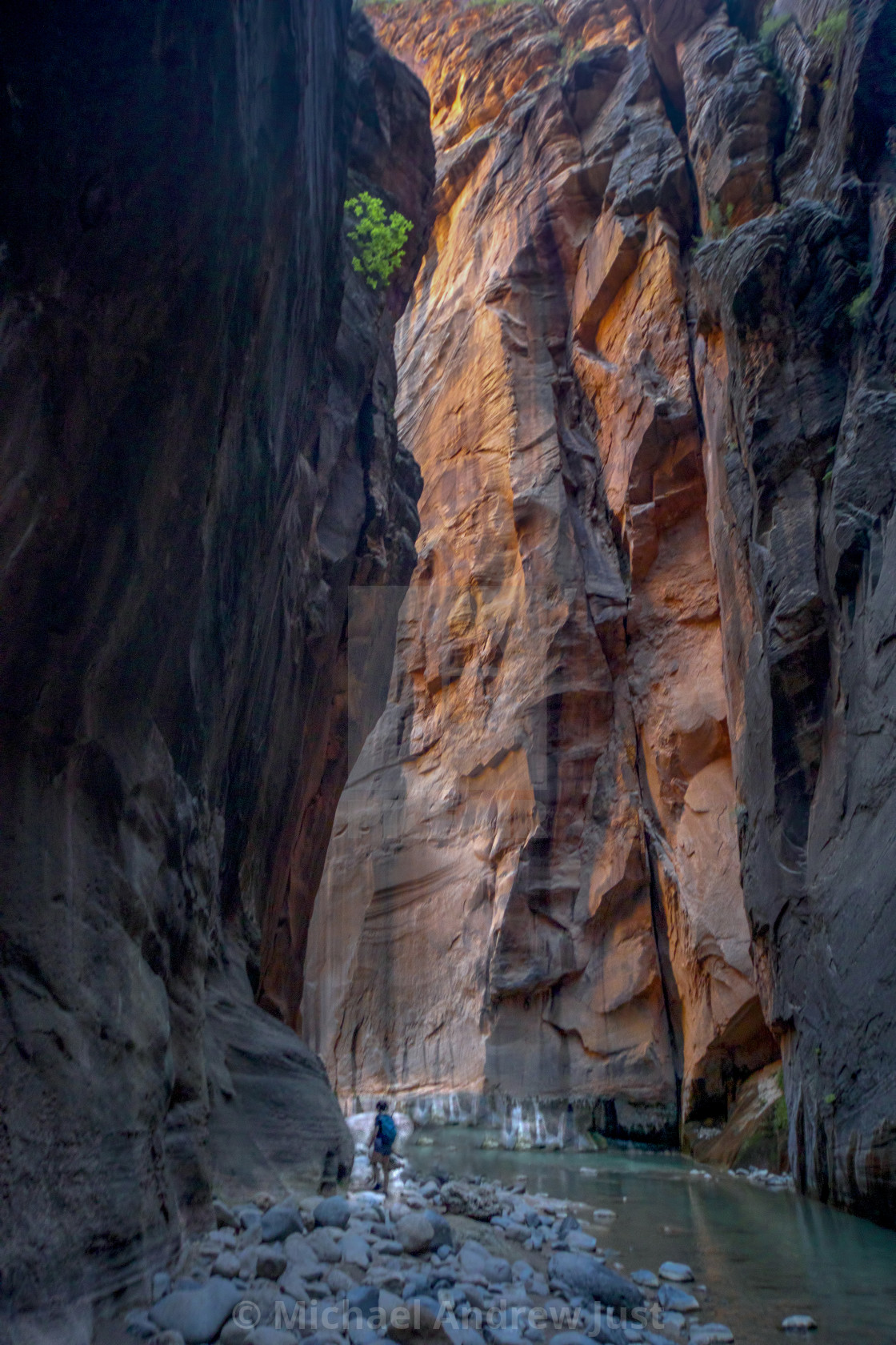 "Zion Narrows" stock image