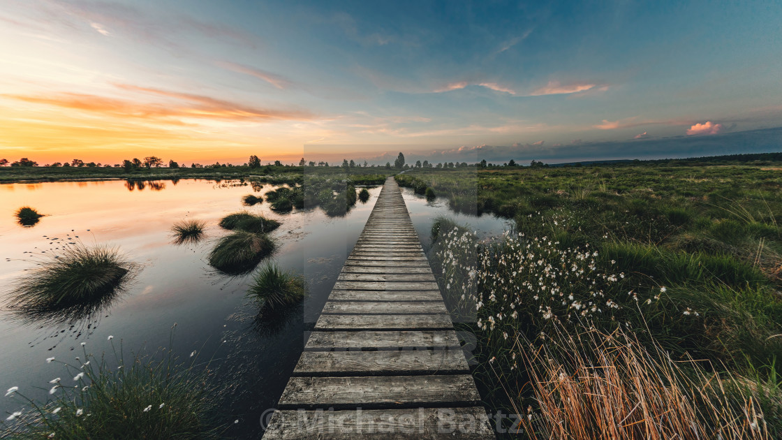 "In the Brackvenn" by Michael Bartz - $7.71 "In the Brackvenn" stock image