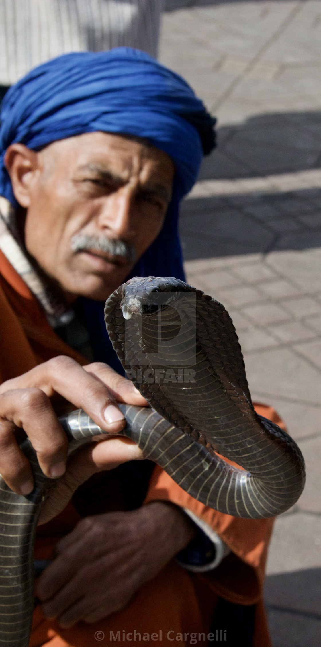 "Snake Charmer" stock image