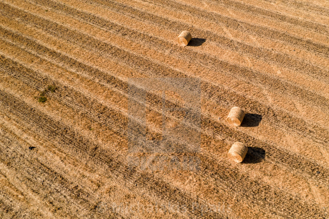 "Aerial view of agriculture field with round bales of hay after harvesting. Aerial view" stock image