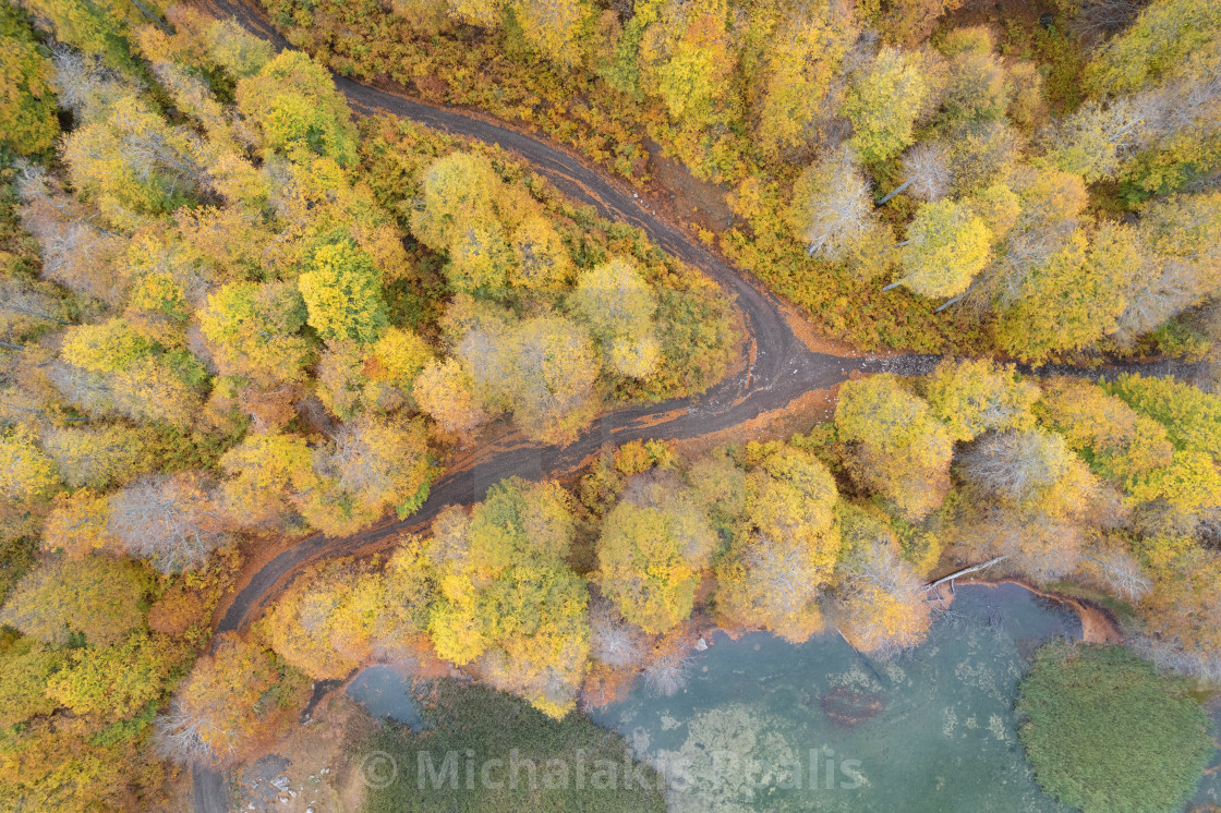 "Drone aerial of autumn forest road. Fall season scenery" stock image