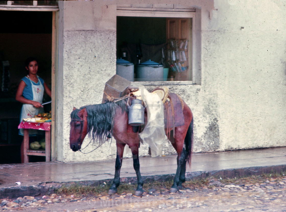 "Puerto Vallarta 1970" stock image