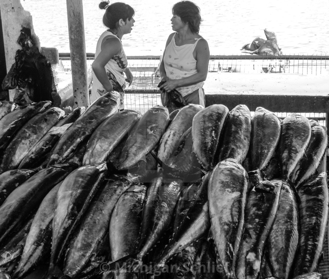 "Fish Market #6 The Chat" stock image