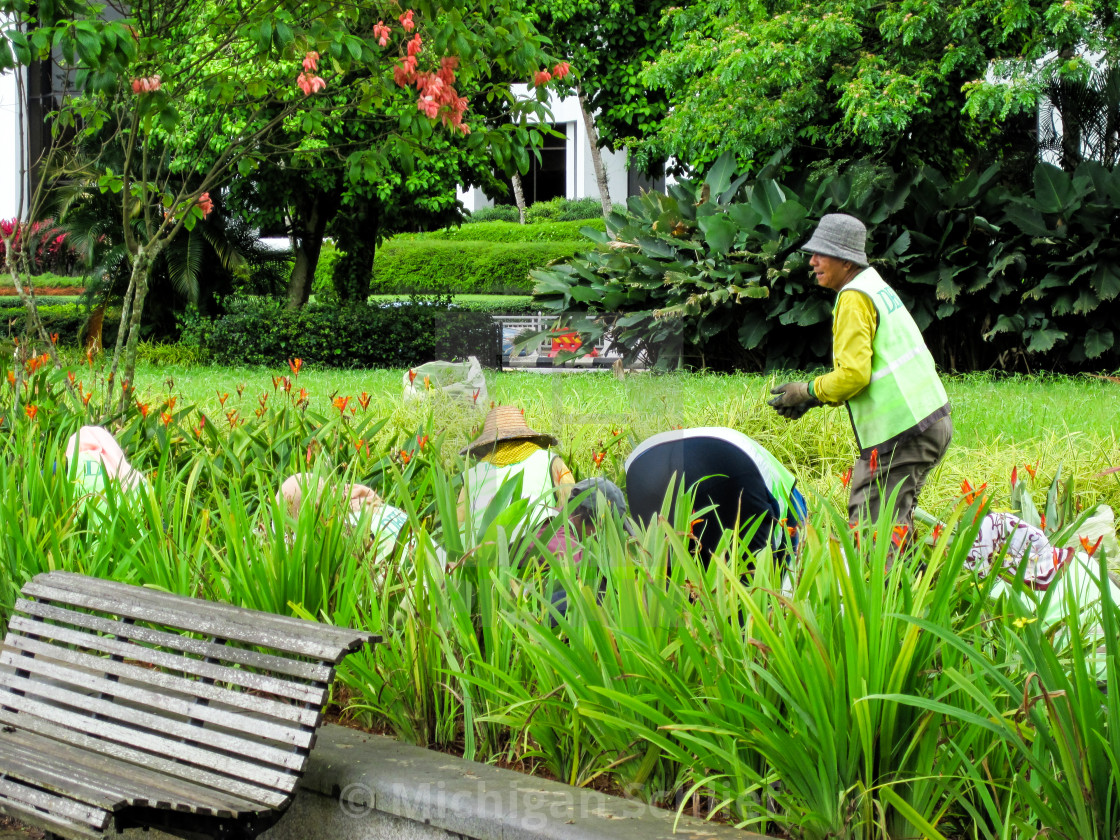 "Kuching Lawn Work" stock image