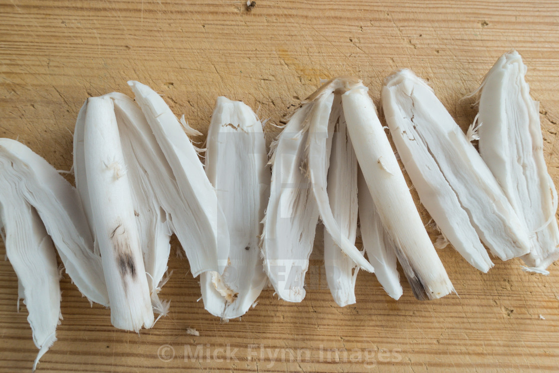 "Shaggy Ink Cap, Lawyers Wig, Judges Wig, Coprinus comatus on a wooden..." stock image