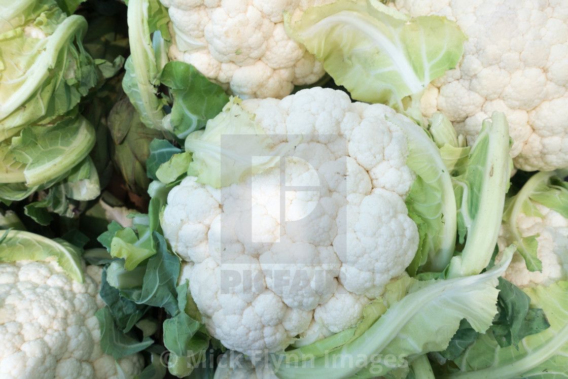 "Group of fresh raw uncut cauliflowers" stock image