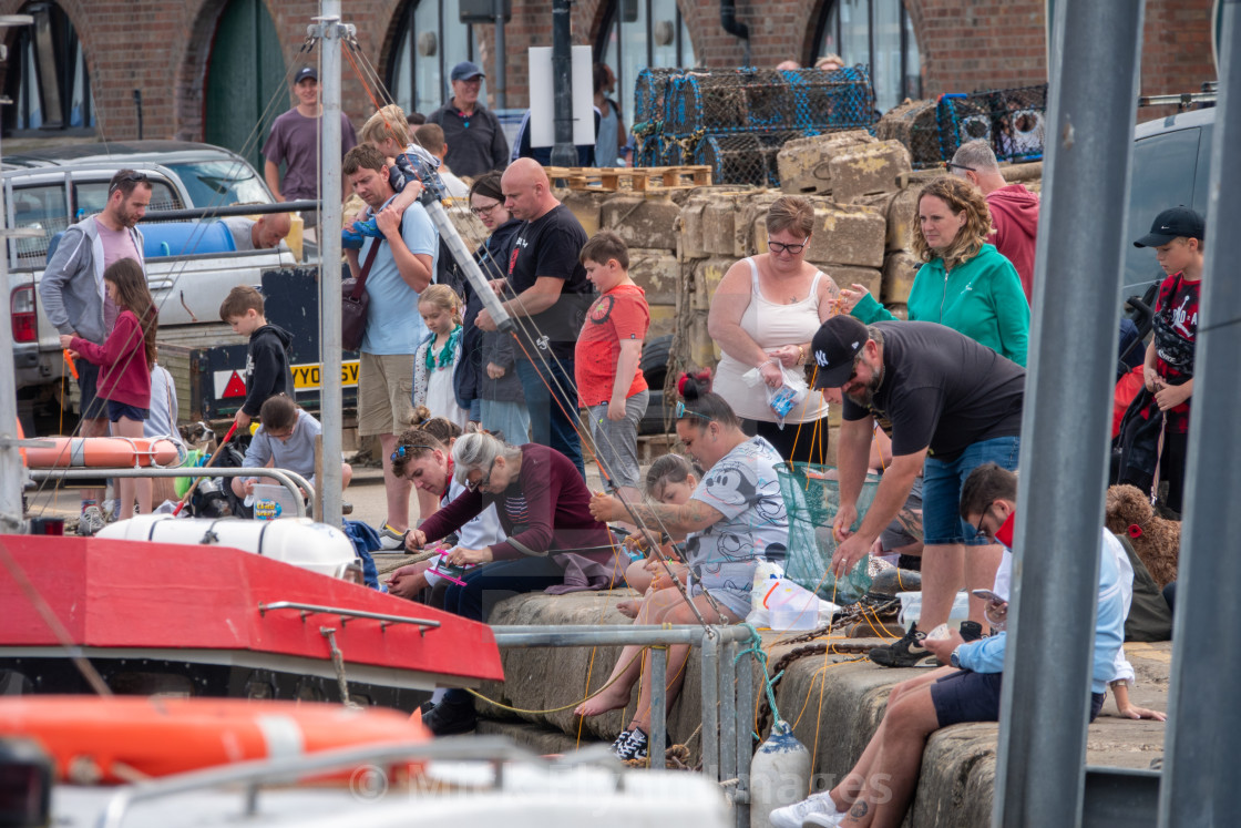 "Families using drop nets to catch crabs over Wells-next-the-sea harbour wall..." stock image