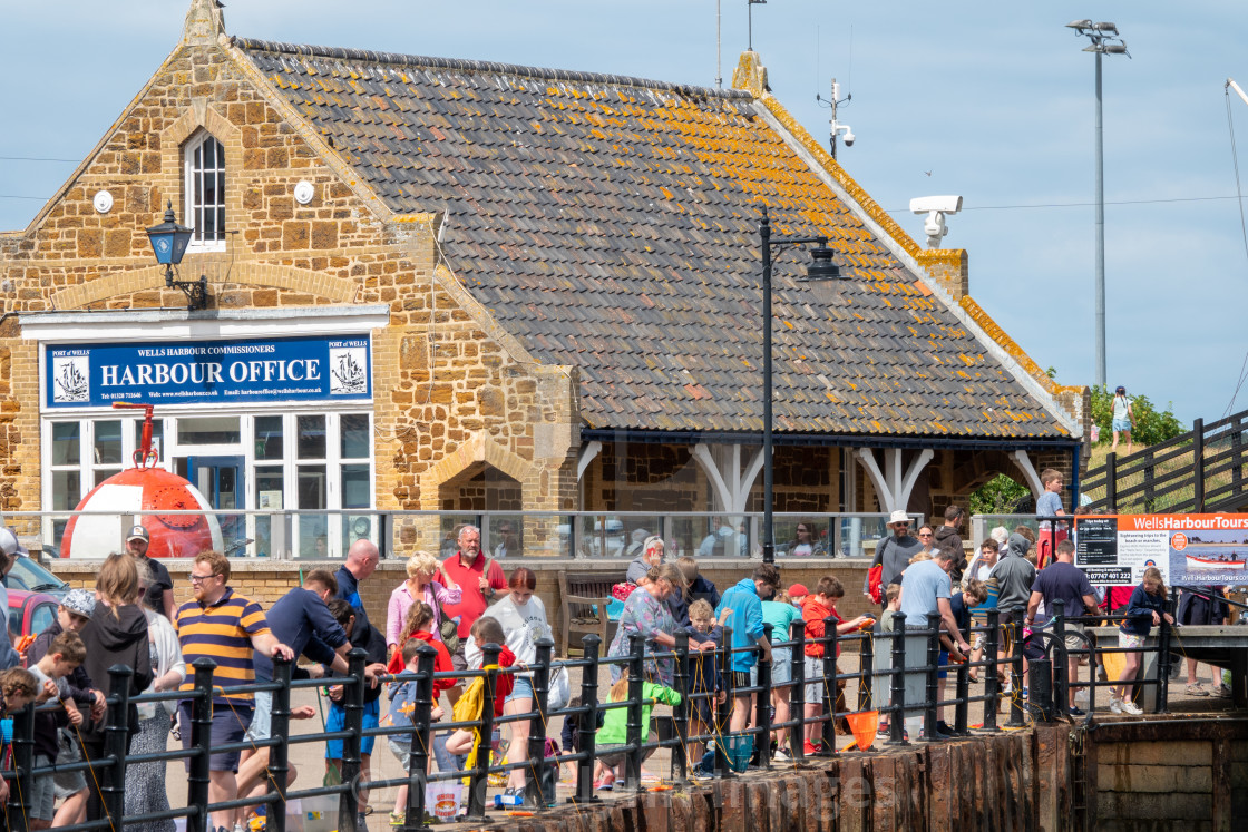 "Families using drop nets to catch crabs over Wells-next-the-sea harbour wall..." stock image