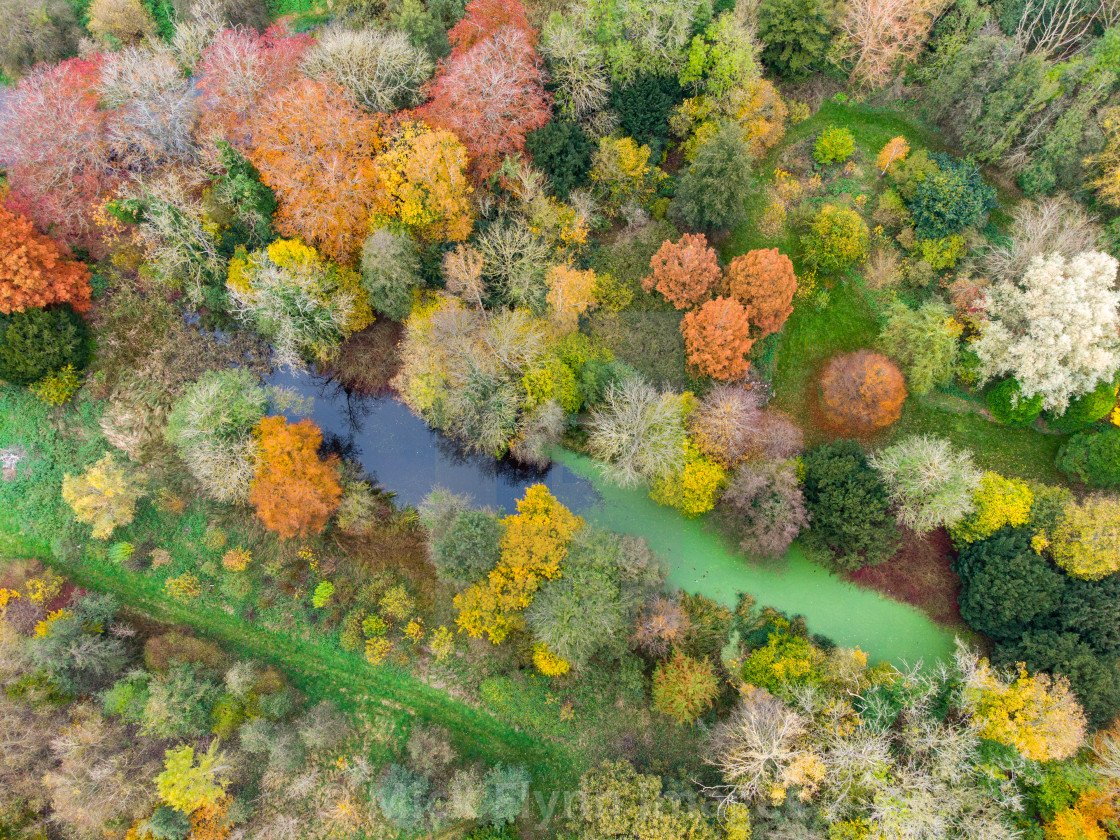 "Autumn colours continue in Bedfordshire UK" stock image