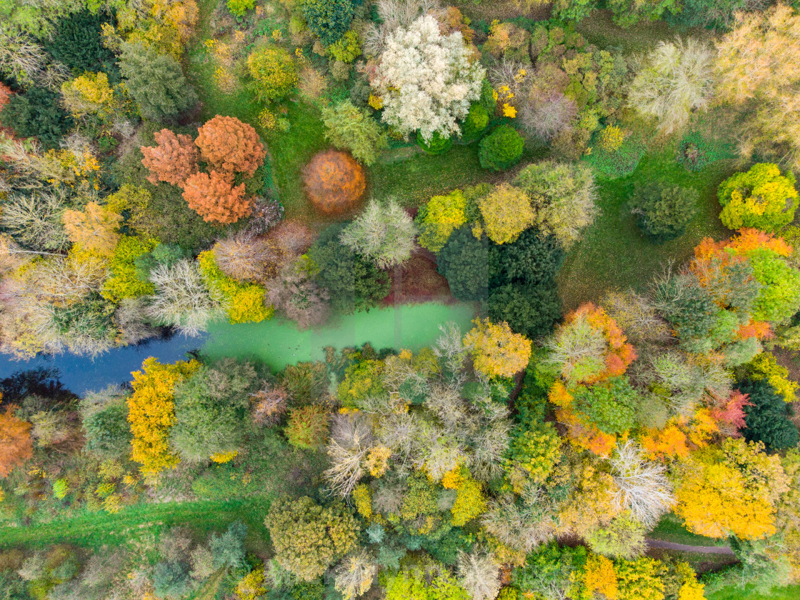 "Autumn colours continue in Bedfordshire UK" stock image