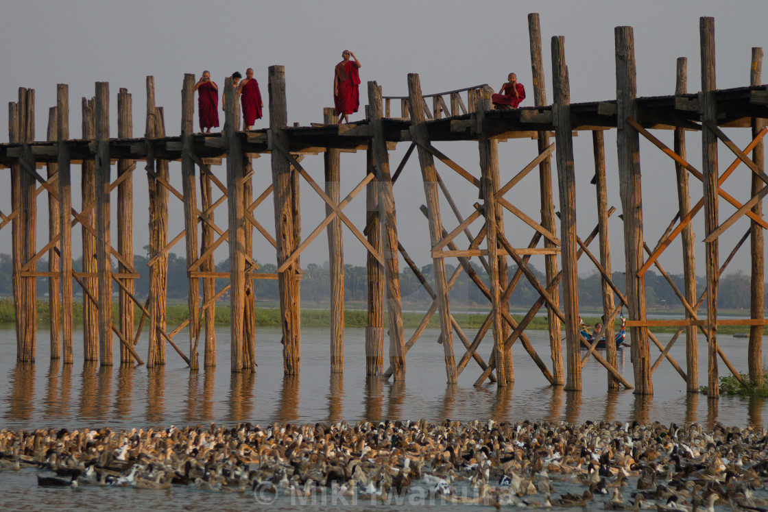 "Buddhist Monks at U Bein Bridge" by Miki Iwamura - $46.16 "Buddhist Monks at U Bein Bridge" stock image