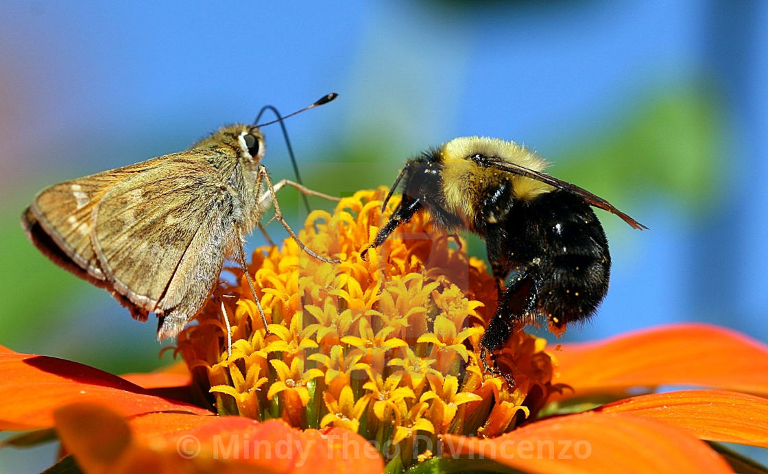 "Lets Do Lunch!" stock image