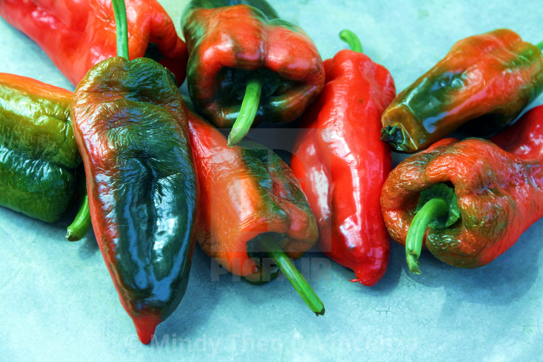 "Ripe Poblanos" stock image