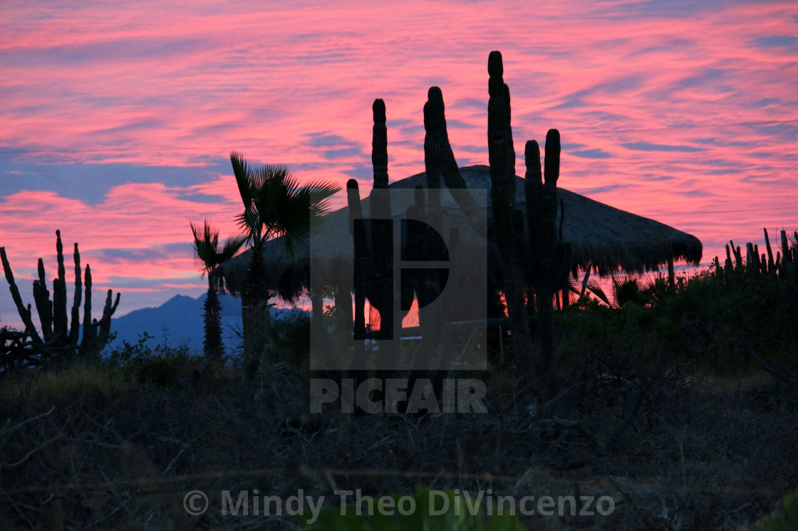 "Palapa Sunrise" stock image