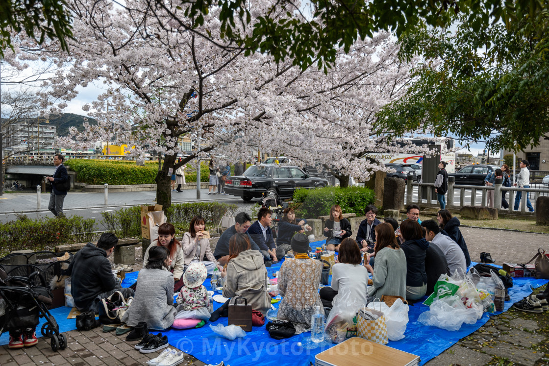 "Hanami party, Kyoto" stock image