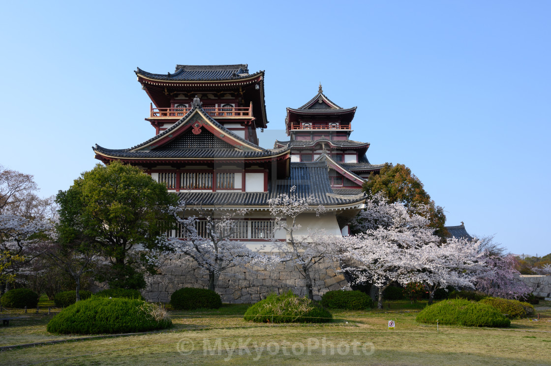 "Cherry blossoms around the Fushimi Momoyama Castle, Kyoto" stock image