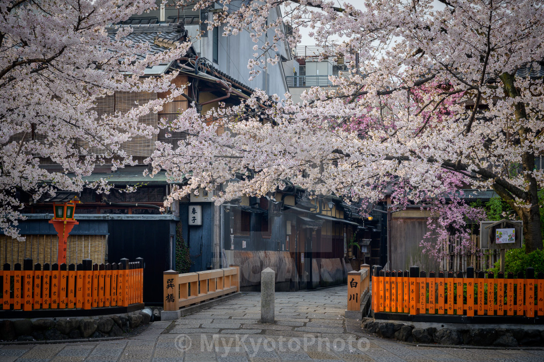 "Around Shirakawa, Kyoto" stock image