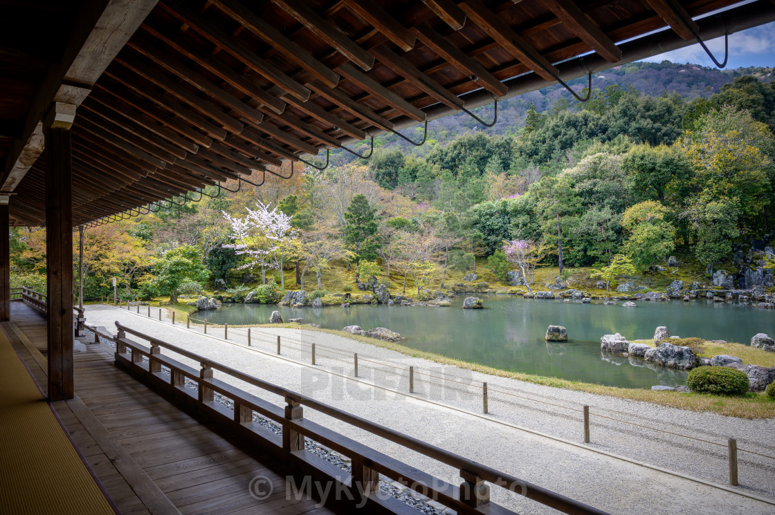 Tenryu Ji Temple Arashiyama Kyoto License Download Or Print For 12 00 Photos Picfair