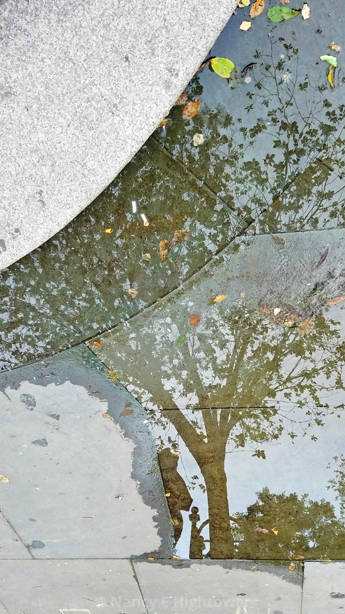 "Tree at Union Square" stock image