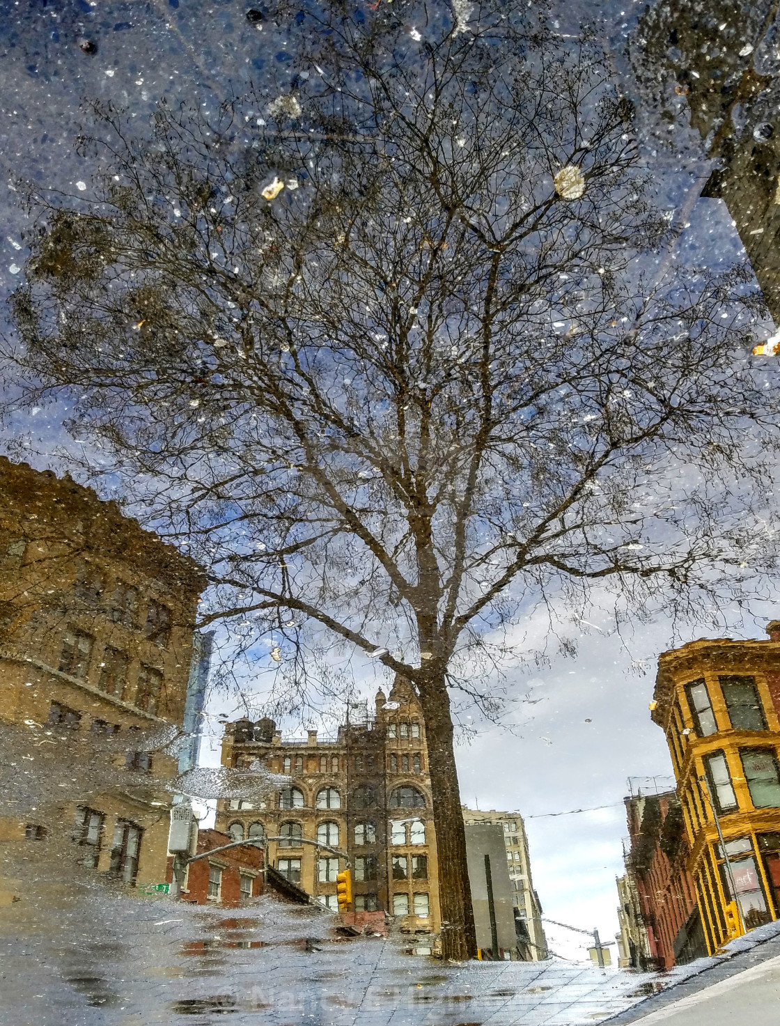 "Union Square moonlight" stock image