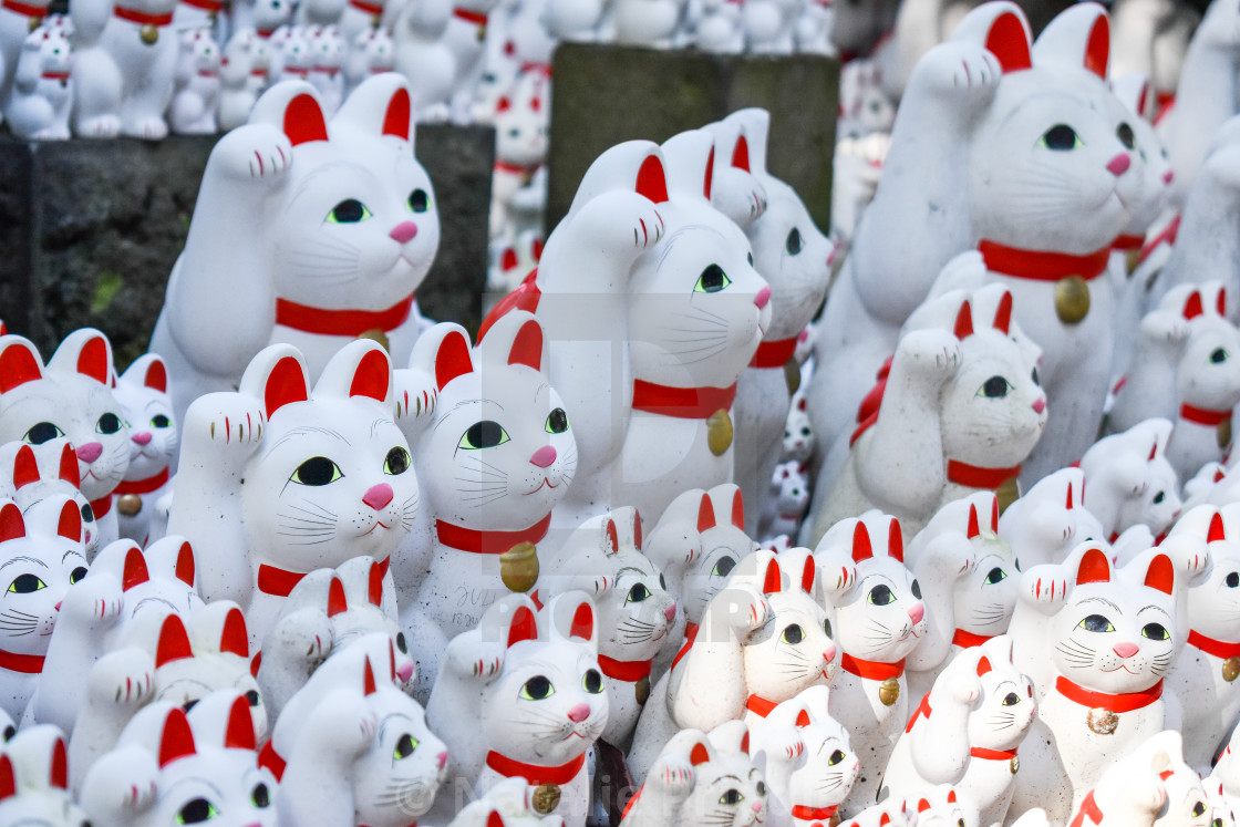 "Sacred cats" by Natalie Priddle - $12.26 "Sacred cats" stock image