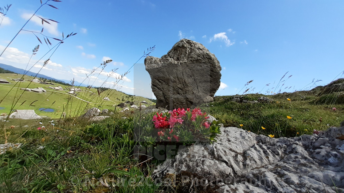 "Huge boulder in the valley" stock image