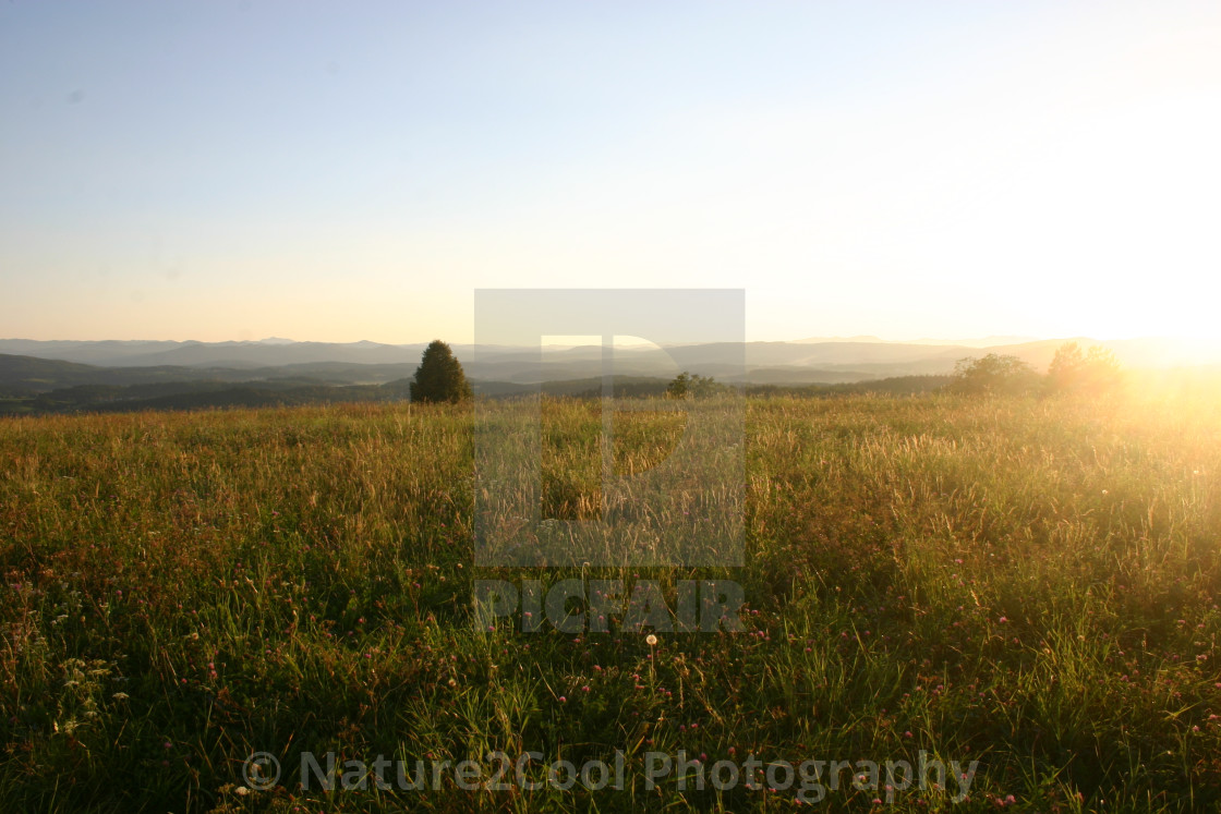 "Sunset overlooking a field" stock image