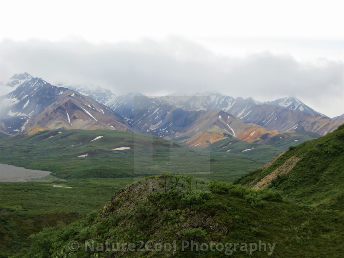 "Denali National Park wilderness" stock image