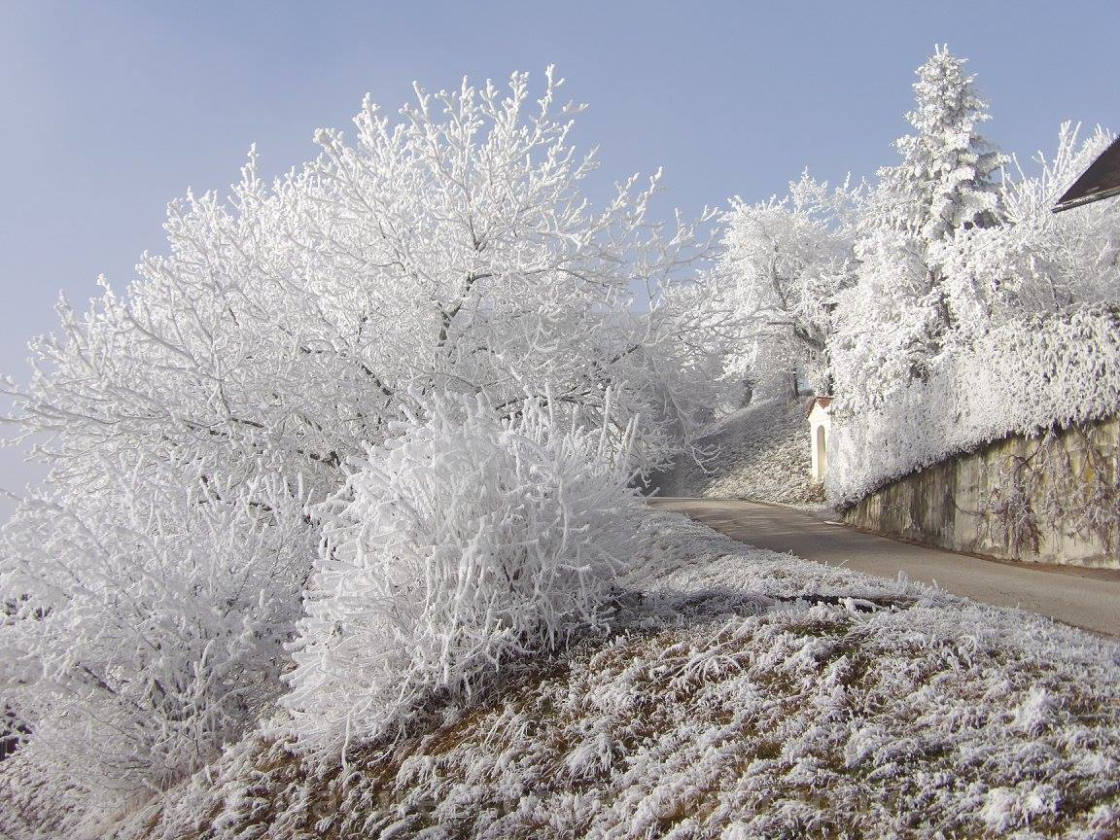 "Primskovo Frost" stock image