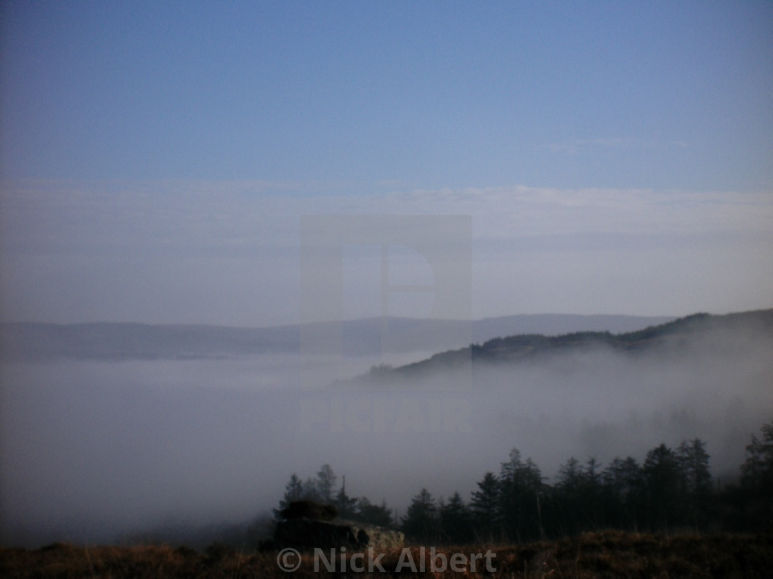 "Foggy morning" stock image